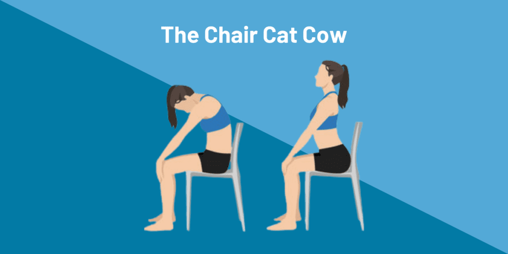 13 Easy Desk Stretches To Do For Better Posture 14 The Chair Cat Cow
