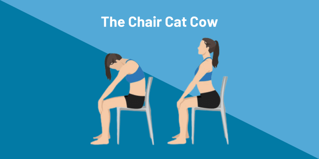 The Chair Cat Cow