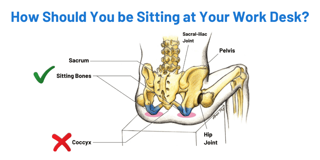 Exercise Stretches To Break Up Study Monotony