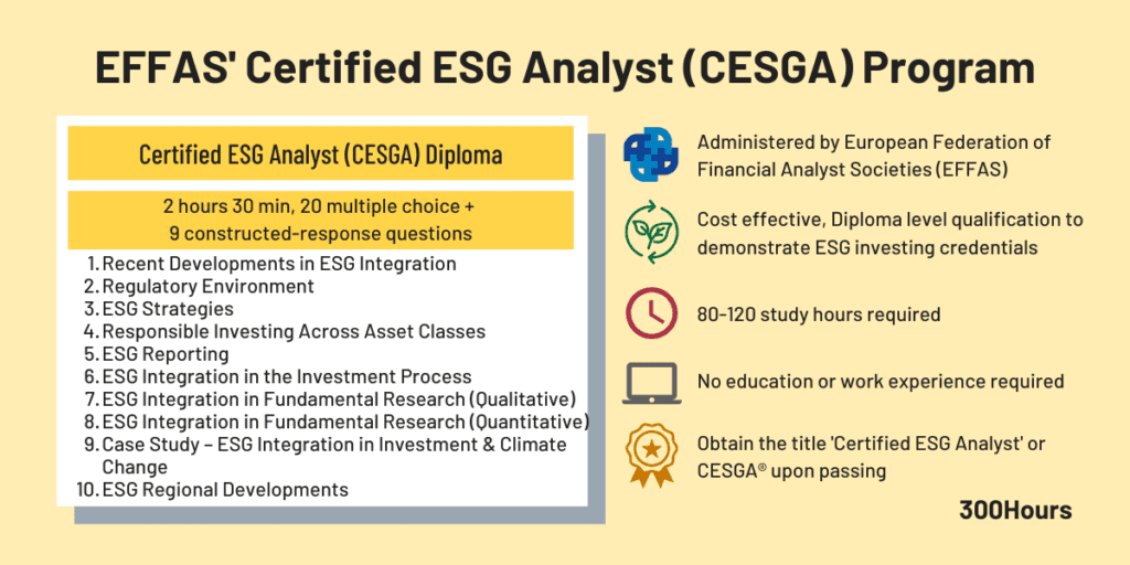 EFFAS' Certified ESG Analyst (CESGA): Our Epic Guide 4 effas cesga exam format