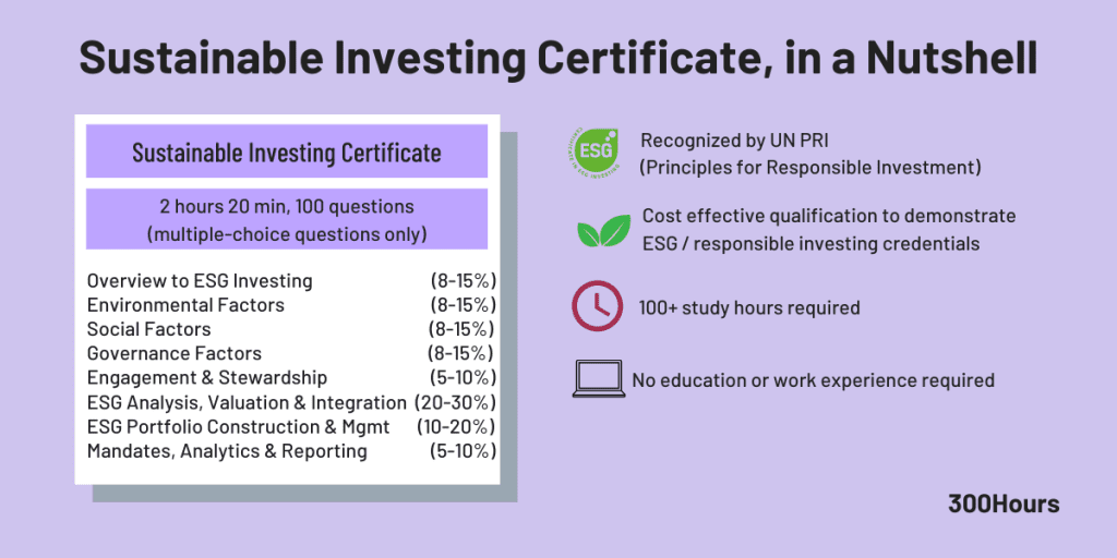 CFA Sustainable Investing Certificate: Our Easy Guide 2 cfa sustainable investing certificate summary esg